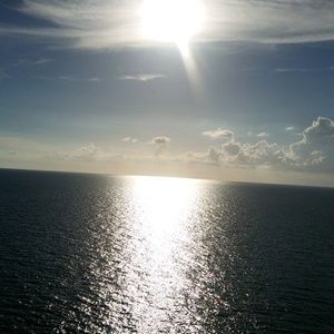 Meet your Posher, Corey